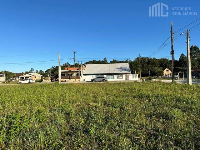 Terreno para Venda em Balneário Barra do Sul - 4