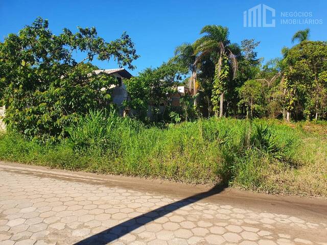 #0250 - Terreno para Venda em Balneário Barra do Sul - SC - 2