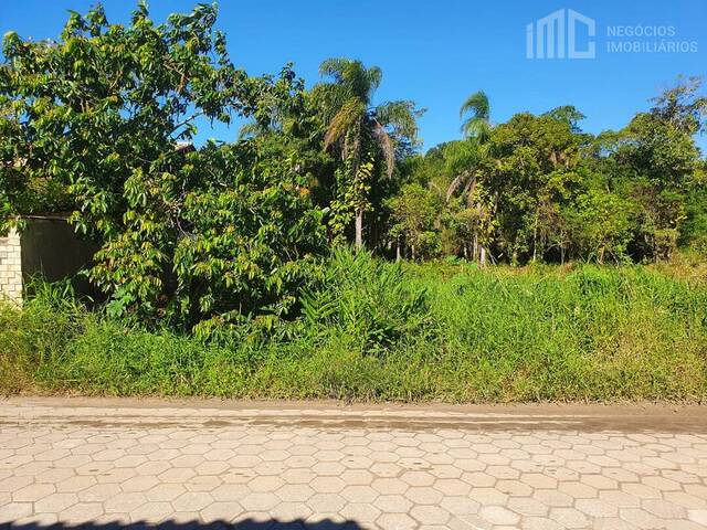 #0250 - Terreno para Venda em Balneário Barra do Sul - SC - 1