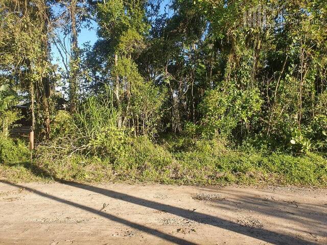 #0274 - Terreno para Venda em Balneário Barra do Sul - SC - 1