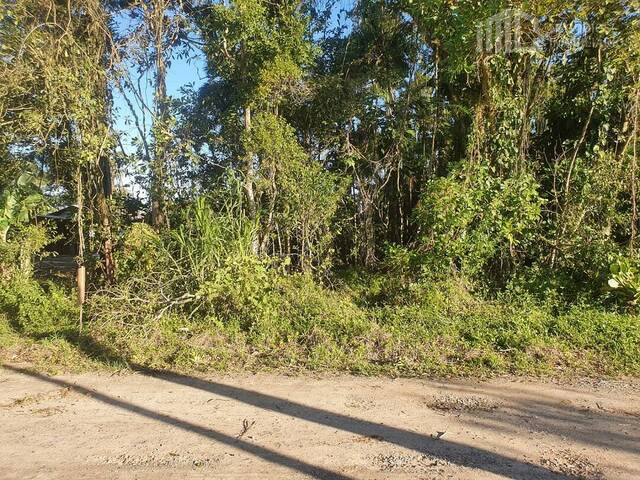 #0274 - Terreno para Venda em Balneário Barra do Sul - SC - 3