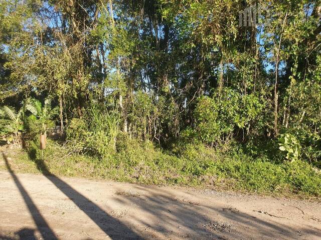 Terreno para Venda em Balneário Barra do Sul - 4