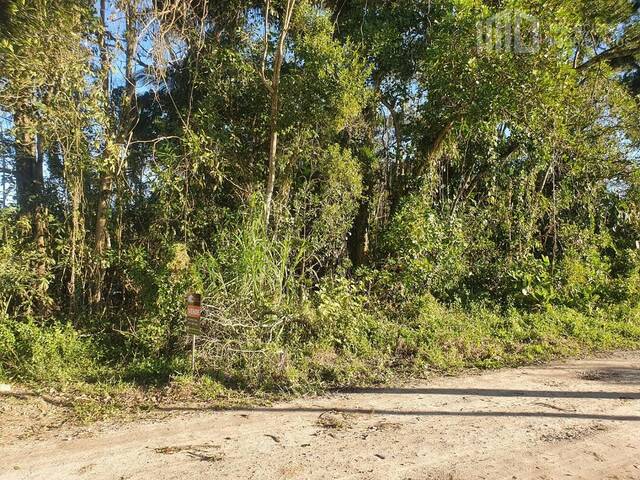 Terreno para Venda em Balneário Barra do Sul - 5