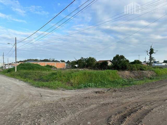 #0301 - Terreno para Venda em Balneário Barra do Sul - SC - 1