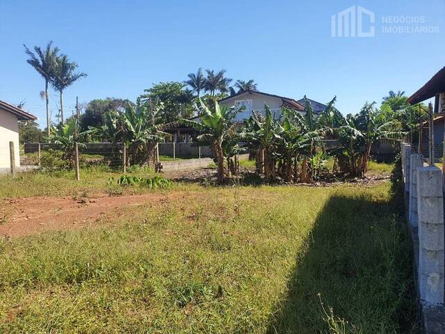 #0363 - Terreno para Venda em Balneário Barra do Sul - SC - 3