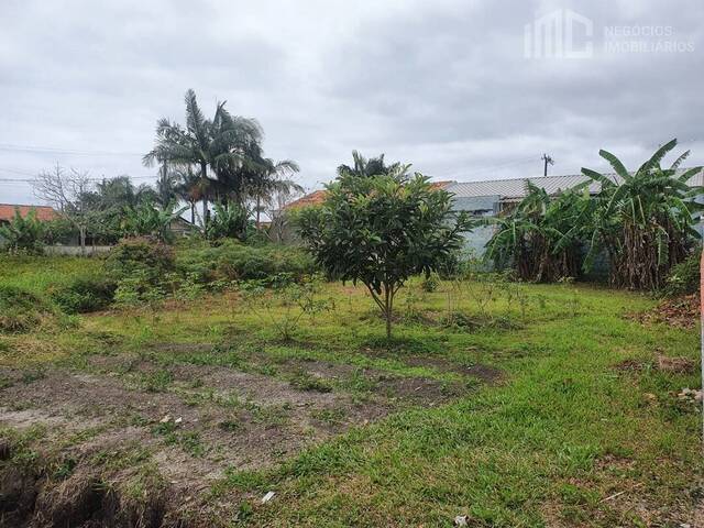 #0371 - Terreno para Venda em Balneário Barra do Sul - SC - 2