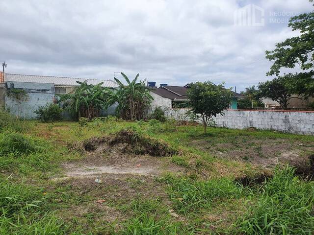 #0371 - Terreno para Venda em Balneário Barra do Sul - SC - 3