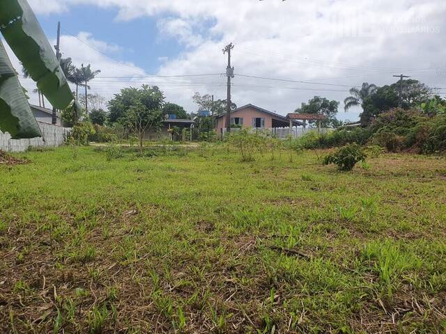 Terreno para Venda em Balneário Barra do Sul - 4