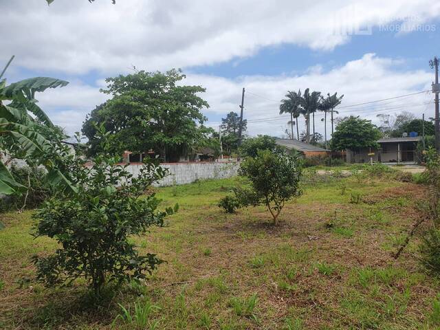 Terreno para Venda em Balneário Barra do Sul - 5