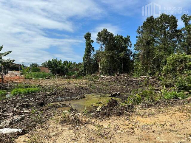 #0379 - Terreno para Venda em Balneário Barra do Sul - SC - 3