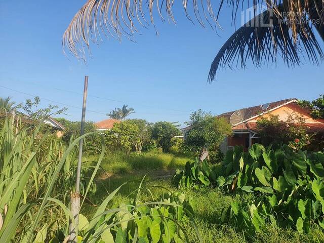 Terreno para Venda em Balneário Barra do Sul - 4