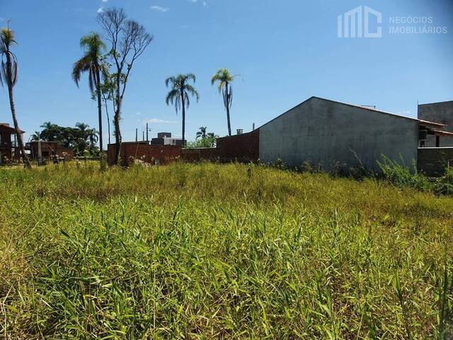 Terreno para Venda em Balneário Barra do Sul - 4