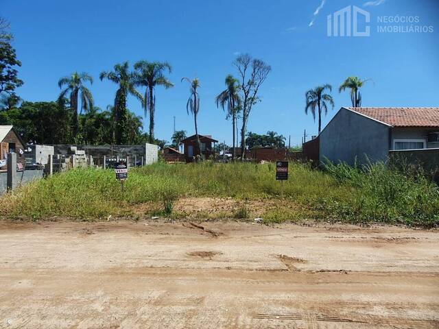 #0399 - Terreno para Venda em Balneário Barra do Sul - SC - 1