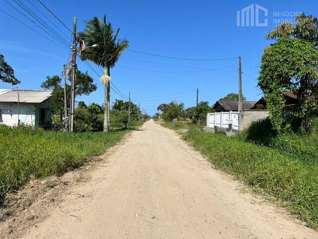 Terreno para Venda em Balneário Barra do Sul - 4