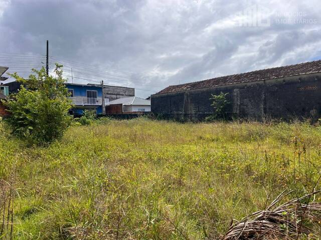 #0484 - Terreno para Venda em Balneário Barra do Sul - SC - 2