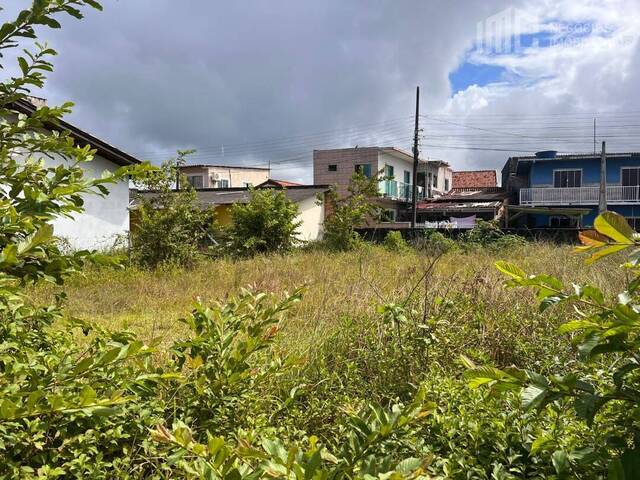 #0484 - Terreno para Venda em Balneário Barra do Sul - SC - 3