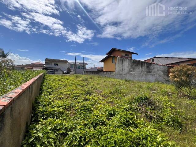 #0485 - Terreno para Venda em Balneário Barra do Sul - SC - 3