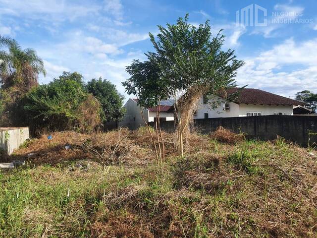 Terreno para Venda em Balneário Barra do Sul - 4