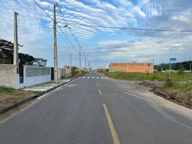 Terreno para Venda em Araquari - 5