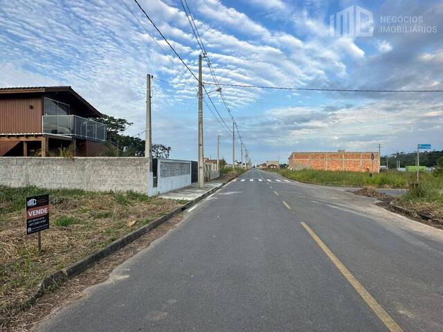 Terreno para Venda em Araquari - 4