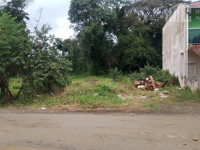 #0589 - Terreno para Venda em Balneário Barra do Sul - SC - 1