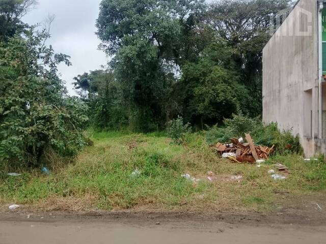 #0589 - Terreno para Venda em Balneário Barra do Sul - SC - 3