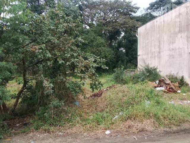 Terreno para Venda em Balneário Barra do Sul - 4