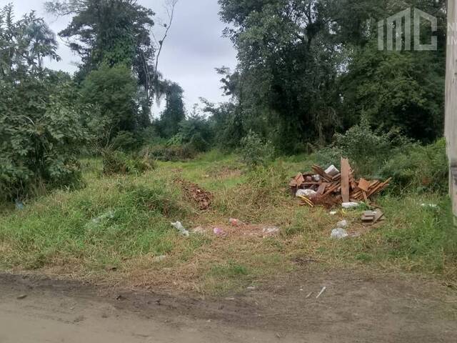 #0589 - Terreno para Venda em Balneário Barra do Sul - SC - 2