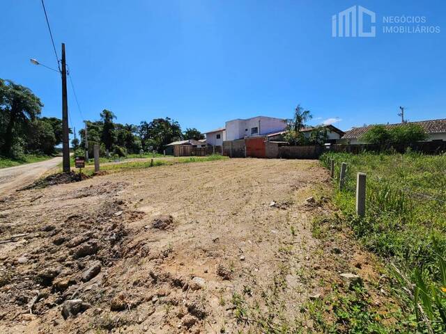 Terreno para Venda em Balneário Barra do Sul - 4