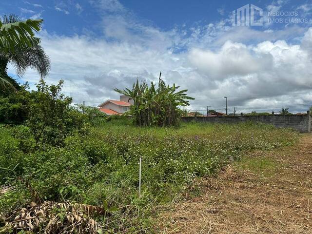 Terreno para Venda em Balneário Barra do Sul - 5