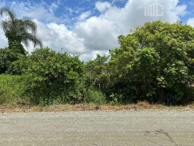 Terreno para Venda em Balneário Barra do Sul - 4