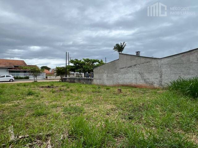 Terreno para Venda em Balneário Barra do Sul - 4