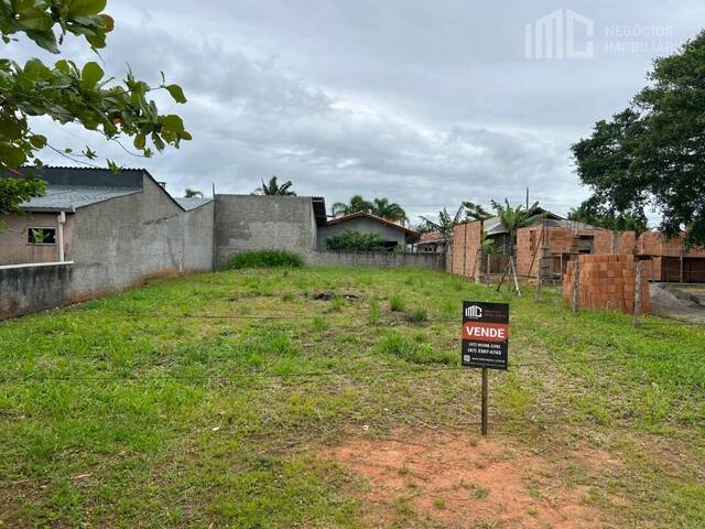 #0772 - Terreno para Venda em Balneário Barra do Sul - SC - 3