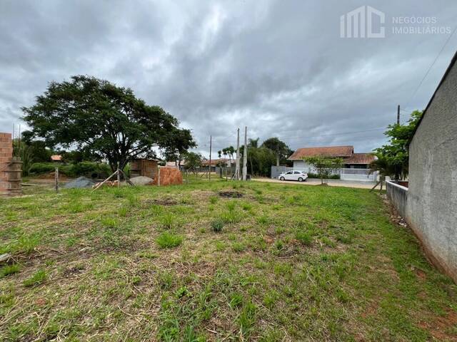 Terreno para Venda em Balneário Barra do Sul - 5