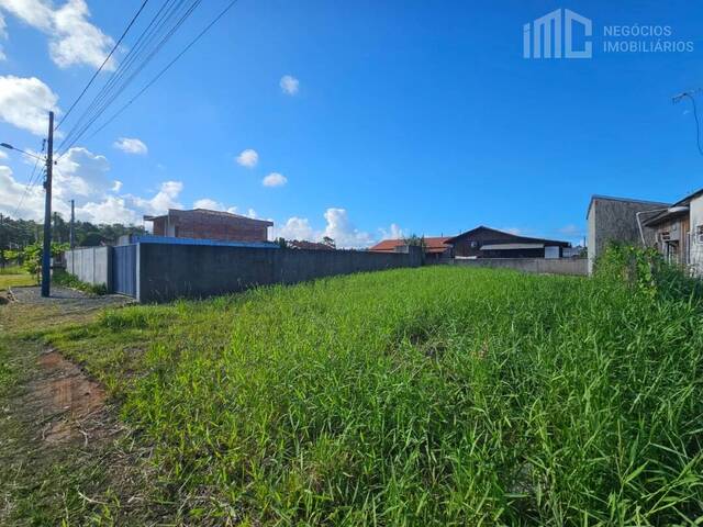 #0853 - Terreno para Venda em Balneário Barra do Sul - SC - 3
