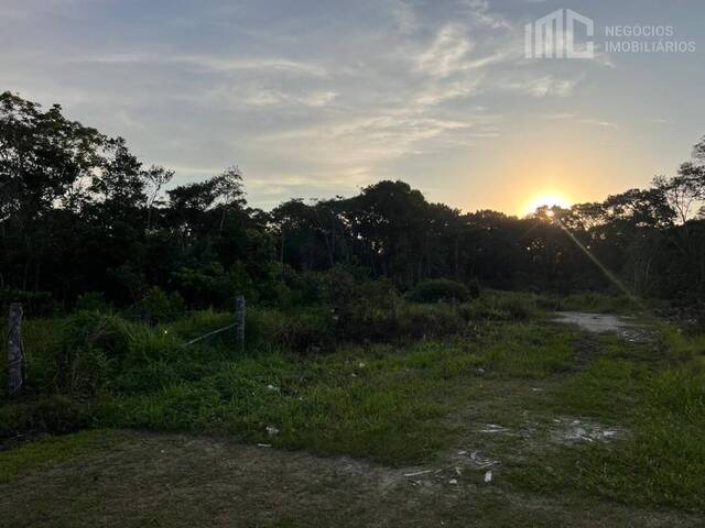 #0883 - Terreno para Venda em Balneário Barra do Sul - SC
